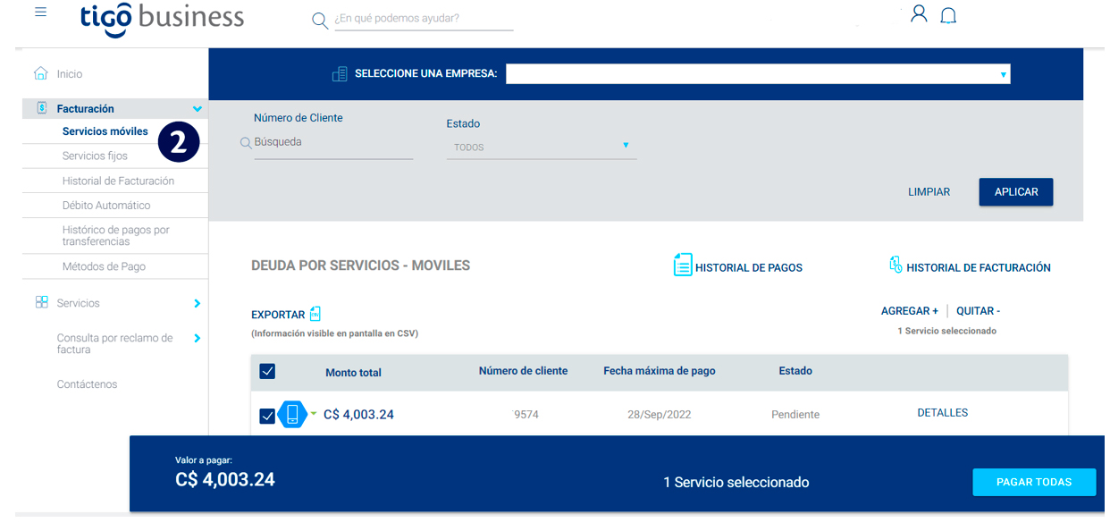 aw-ima-paso2-servicios-factura-tigo-business-online-tigo-nicaragua.jpg